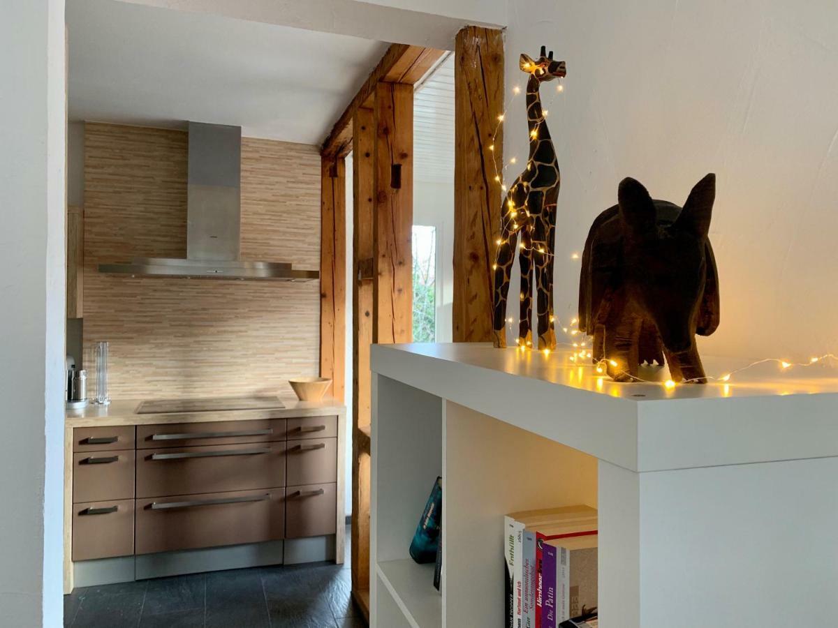 Deluxe Business City Apartments Metzingen Villa Landenberger Zewnętrze zdjęcie
