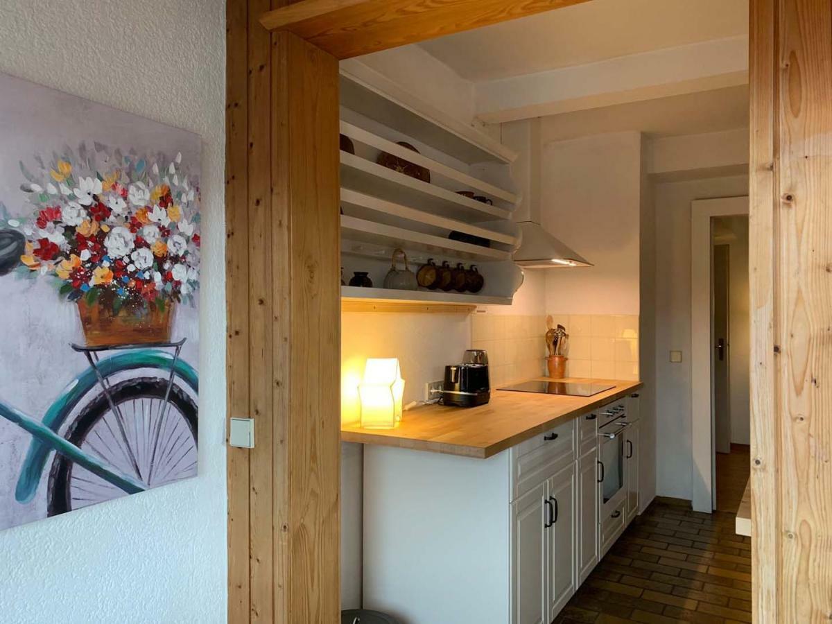 Deluxe Business City Apartments Metzingen Villa Landenberger Zewnętrze zdjęcie