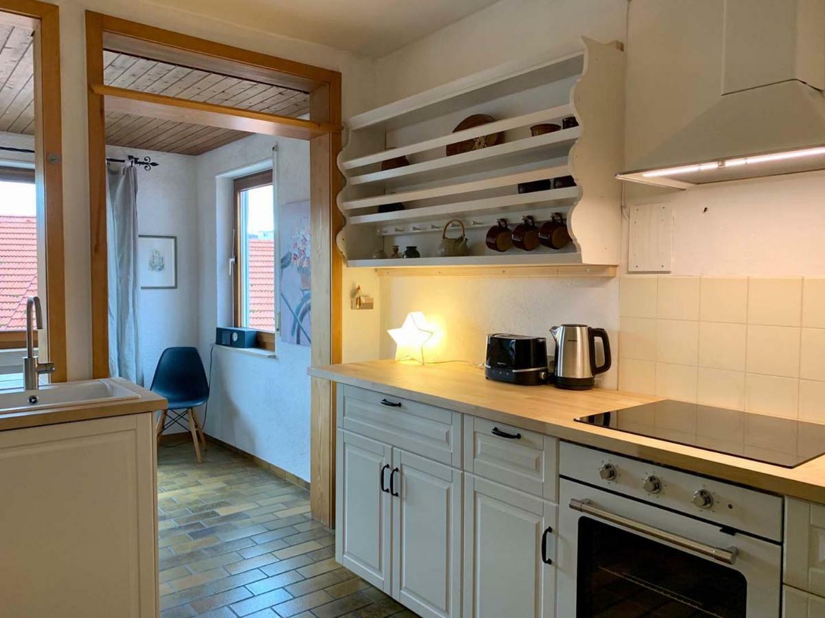 Deluxe Business City Apartments Metzingen Villa Landenberger Zewnętrze zdjęcie
