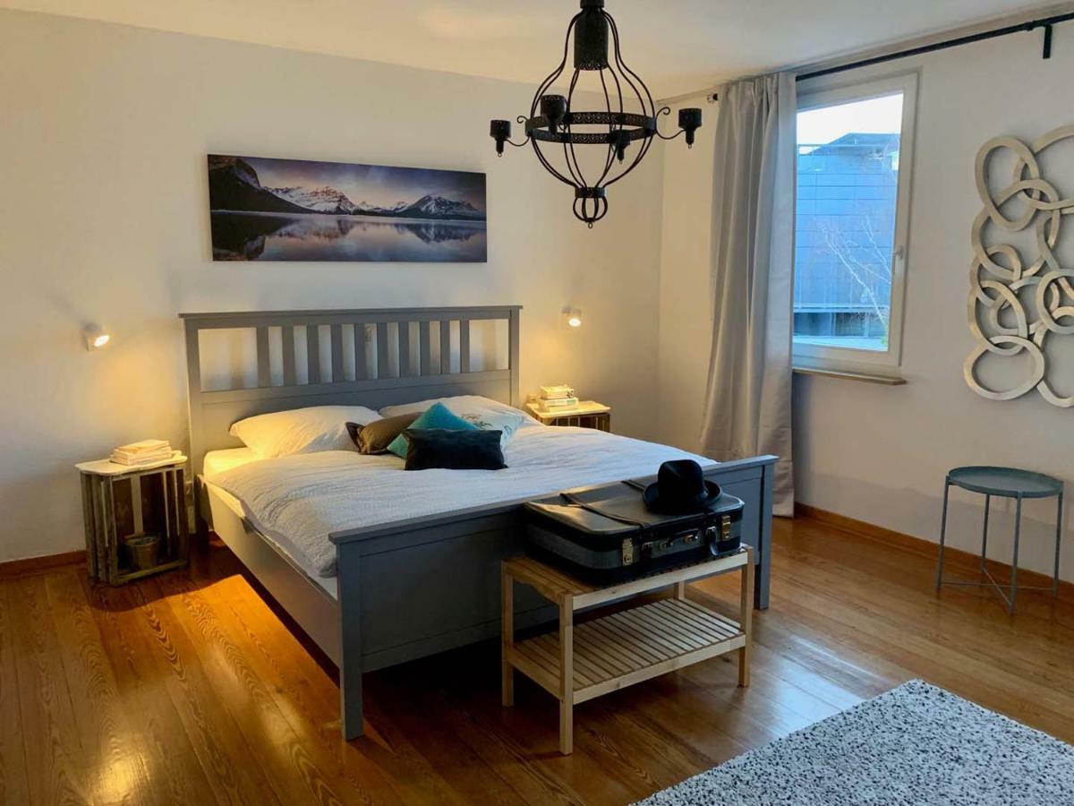 Deluxe Business City Apartments Metzingen Villa Landenberger Zewnętrze zdjęcie